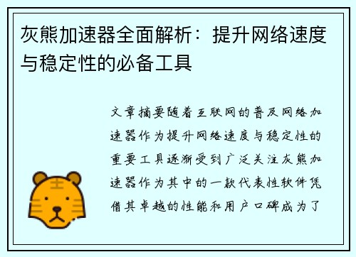 灰熊加速器全面解析：提升网络速度与稳定性的必备工具